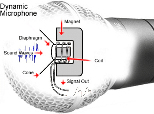 dynamic microphone