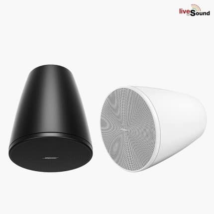 Bose DesignMax DM5P