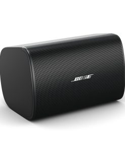 Bose DesignMax DM6SE
