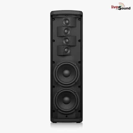 Turbosound iP300