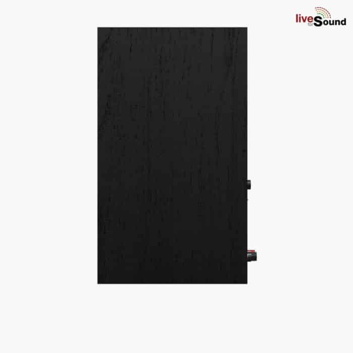 Klipsch R-50PM