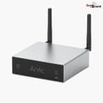 Arylic A50+
