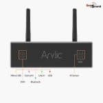 Arylic A50+
