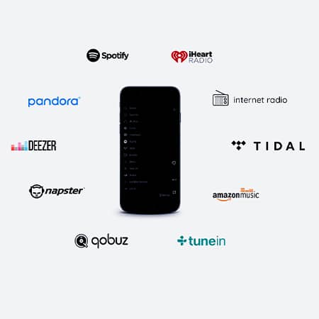 Arylic S50 Pro+