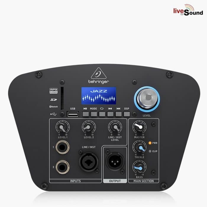 Behringer C210