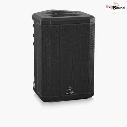Behringer B1C