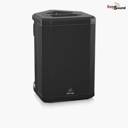 Behringer B1X