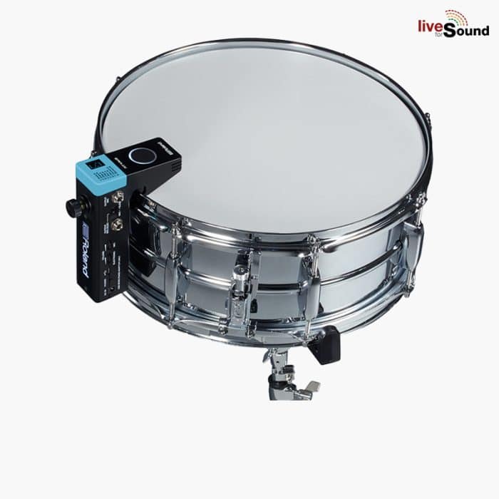 Roland RT MicS