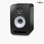 TANNOY REVEAL 802