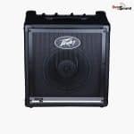PEAVEY KB2