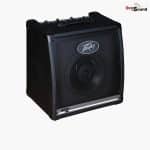 PEAVEY KB2