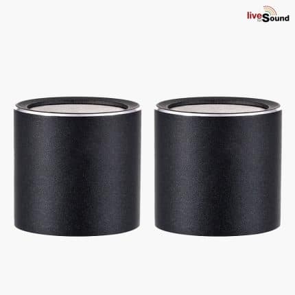 SE ELECTRONICS sE8 omni capsule P