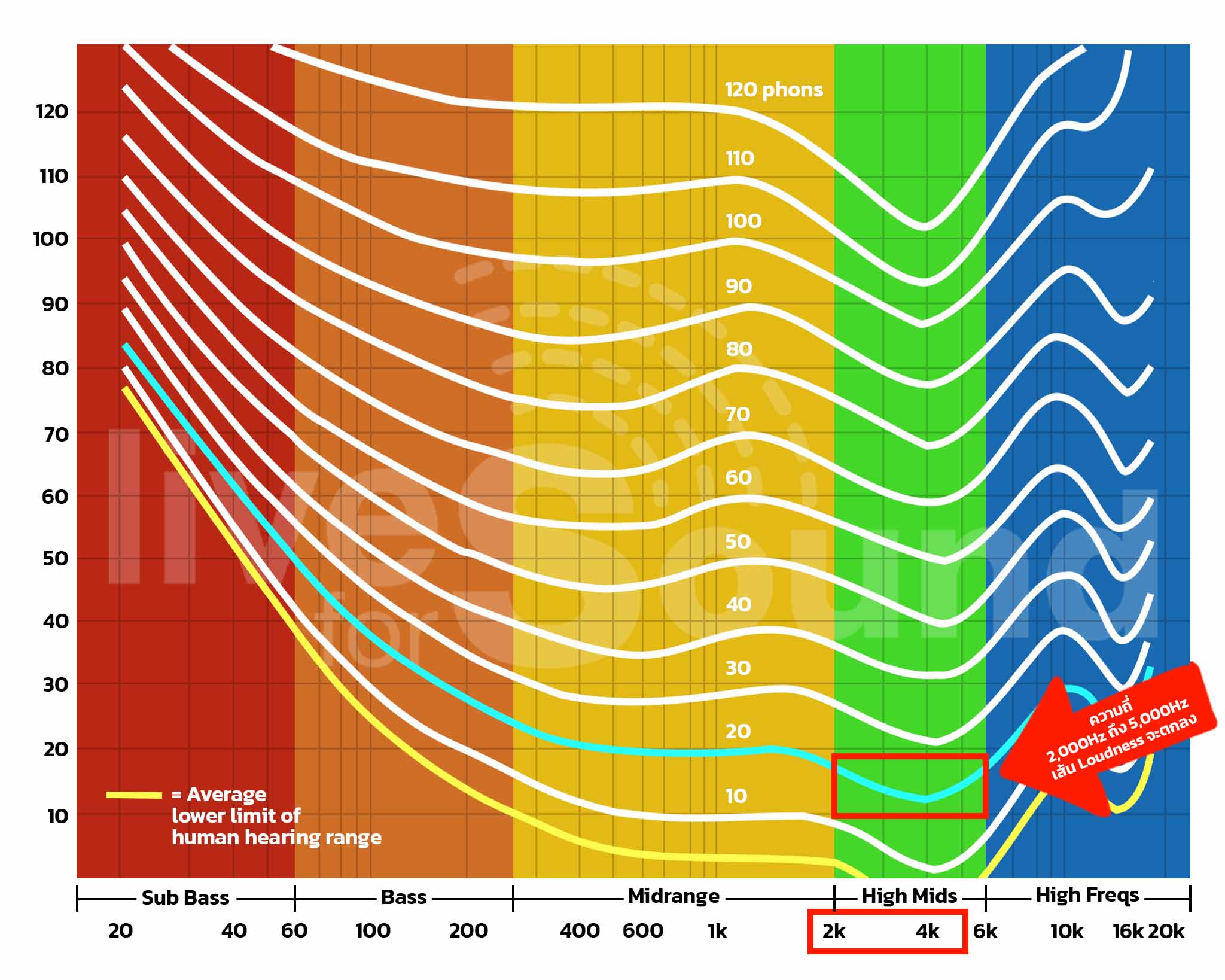 Equal Loudness Contour