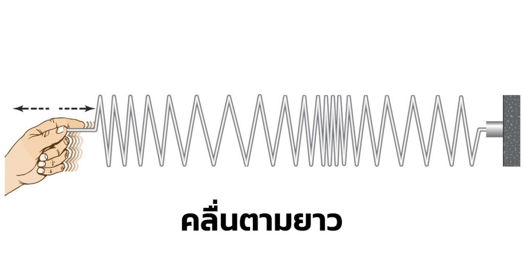 คลื่นตามยาว