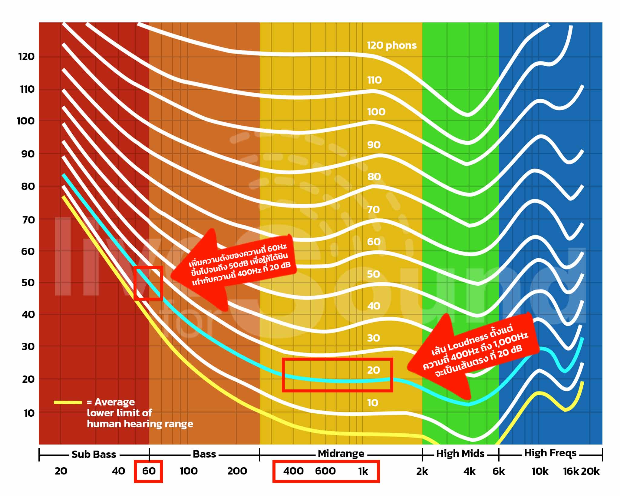 Equal Loudness Contour